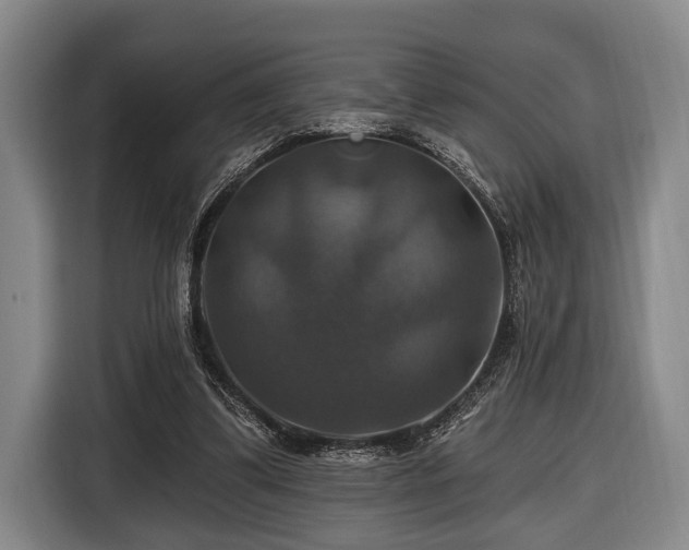 X0000116450299200912151305
