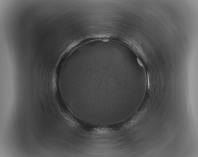 X0000116450300200912151305