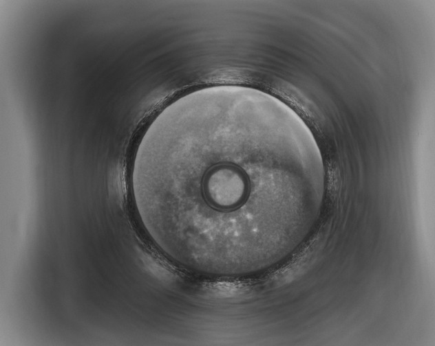 X0000116450302200912151305