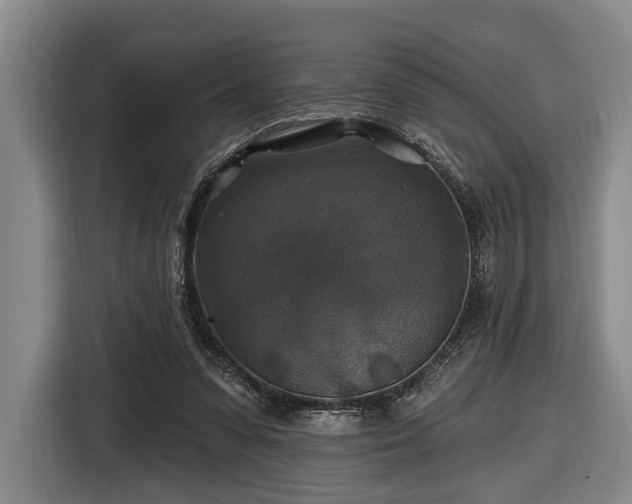 X0000116450303200912151305