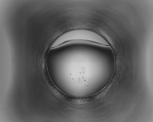 X0000116450305200912151305