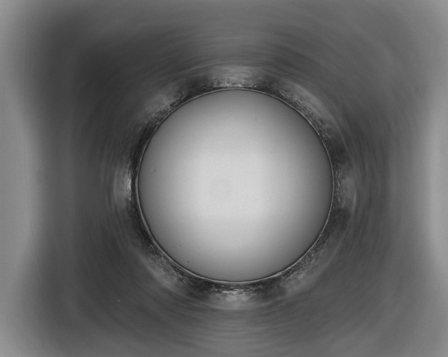 X0000116450310200912151305