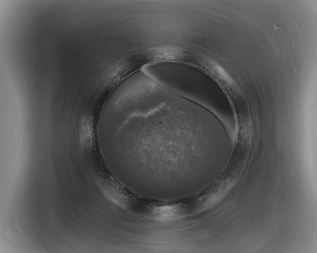 X0000116450312200912151305