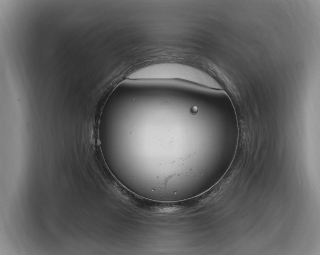 X0000116450313200912151305