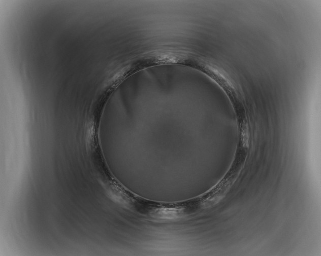 X0000116450314200912151305