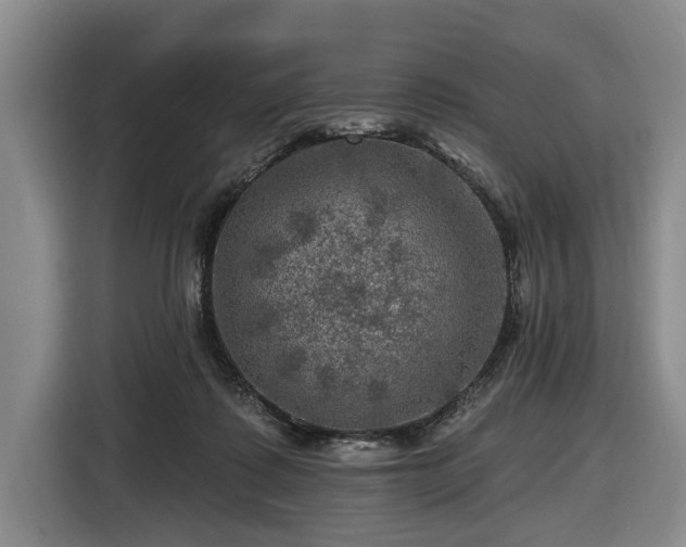 X0000116450315200912151305