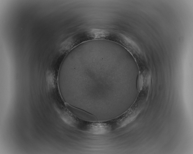 X0000116450316200912151305