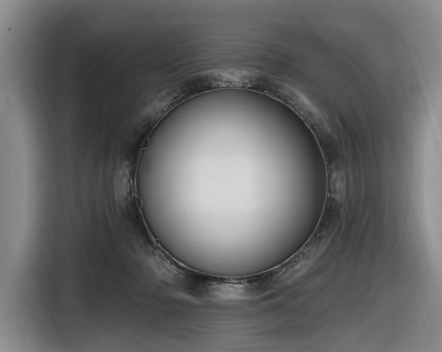 X0000116450318200912151305