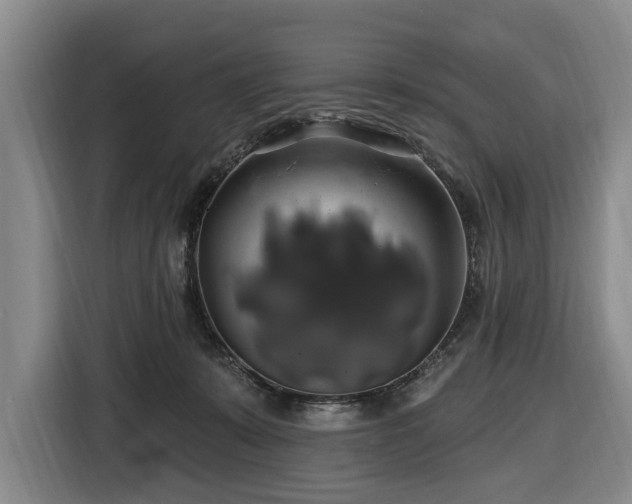X0000116450319200912151305
