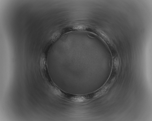 X0000116450322200912151305