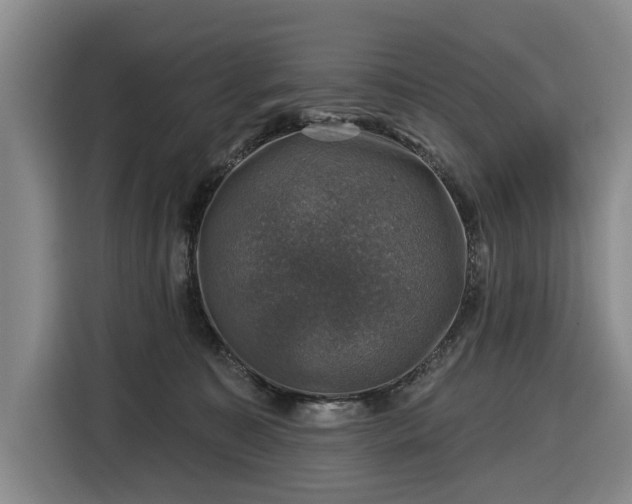 X0000116450323200912151305