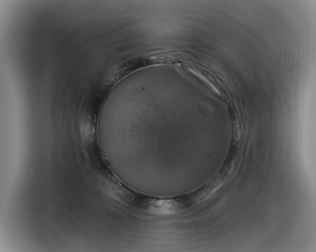 X0000116450324200912151305