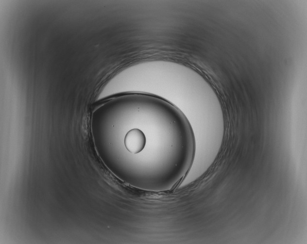 X0000116450325200912151305