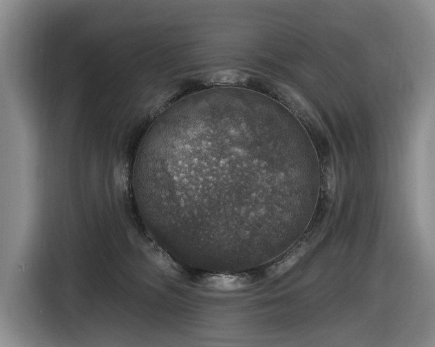 X0000116450326200912151305