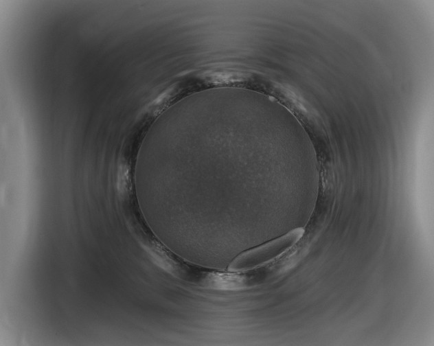 X0000116450327200912151305