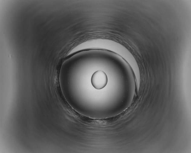 X0000116450328200912151305