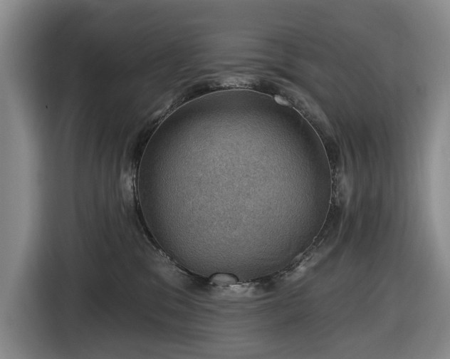 X0000116450329200912151305