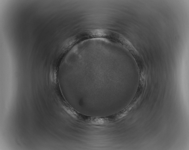 X0000116450330200912151305