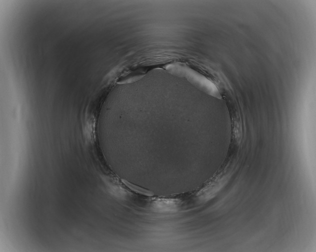 X0000116450332200912151305
