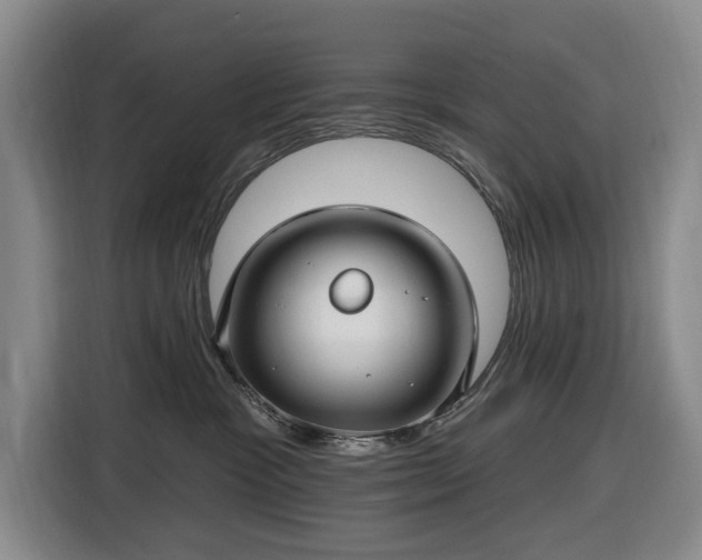 X0000116450333200912151305