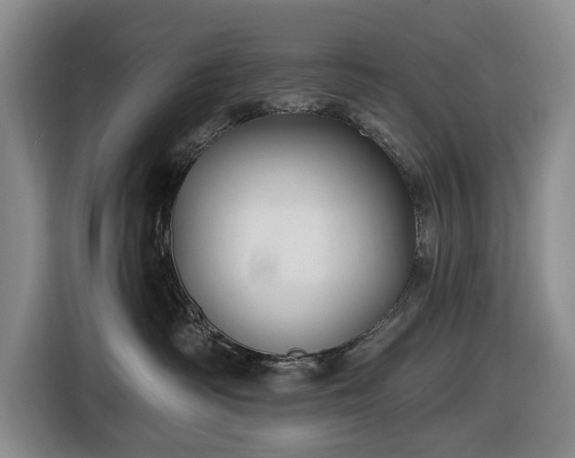 X0000116450334200912151305