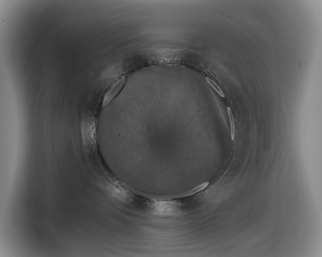 X0000116450336200912151305
