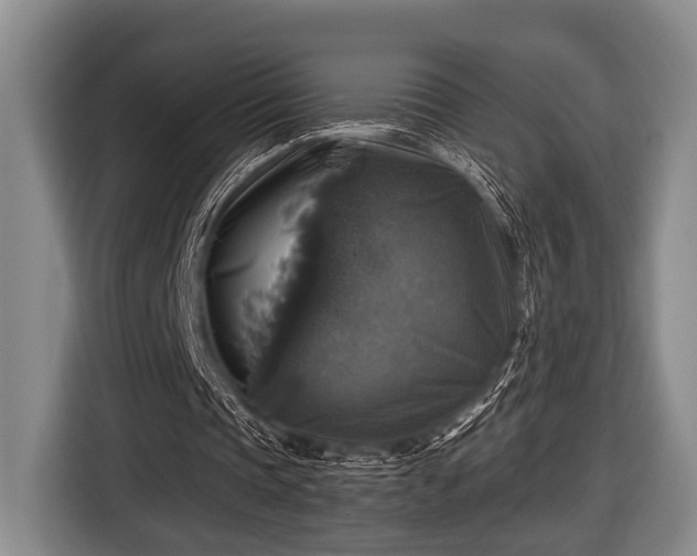 X0000116450337200912151304