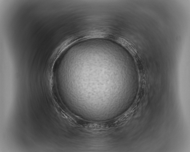 X0000116450338200912151304