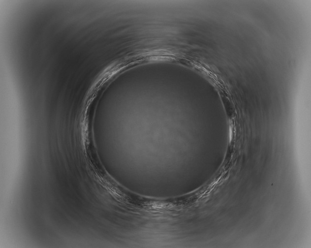 X0000116450339200912151304