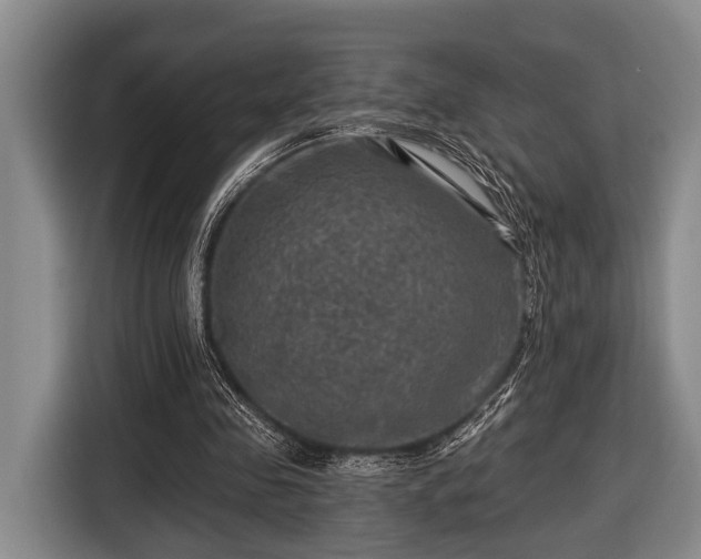 X0000116450341200912151304