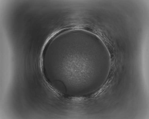 X0000116450342200912151304