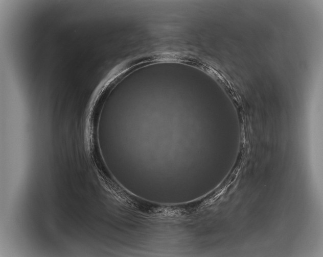 X0000116450343200912151304