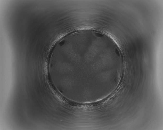 X0000116450345200912151304
