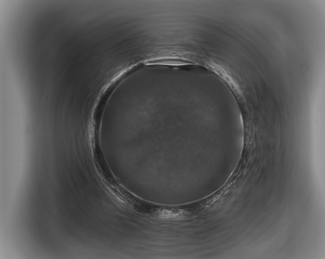 X0000116450346200912151304