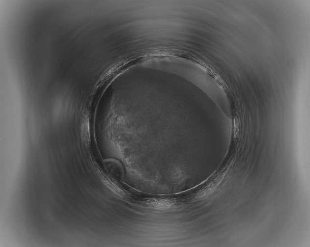 X0000116450349200912151304