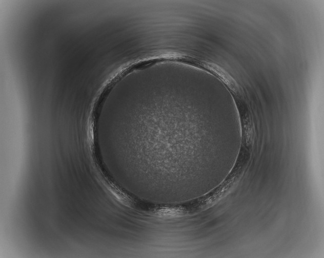 X0000116450350200912151304