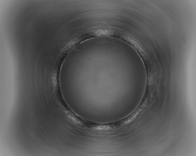 X0000116450353200912151304