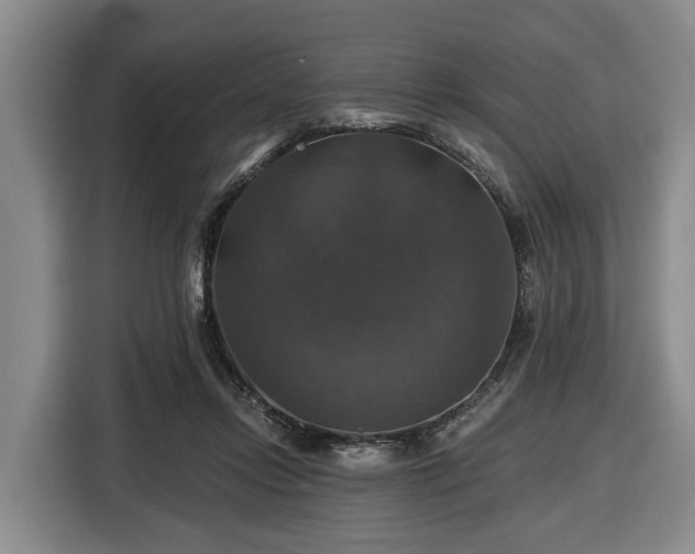 X0000116450358200912151305