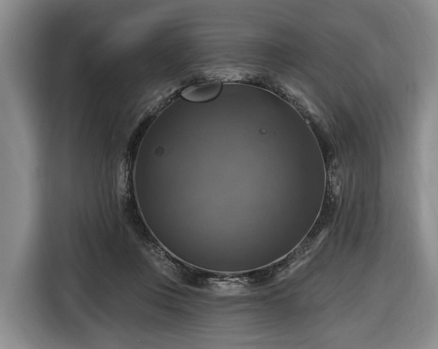 X0000116450359200912151305