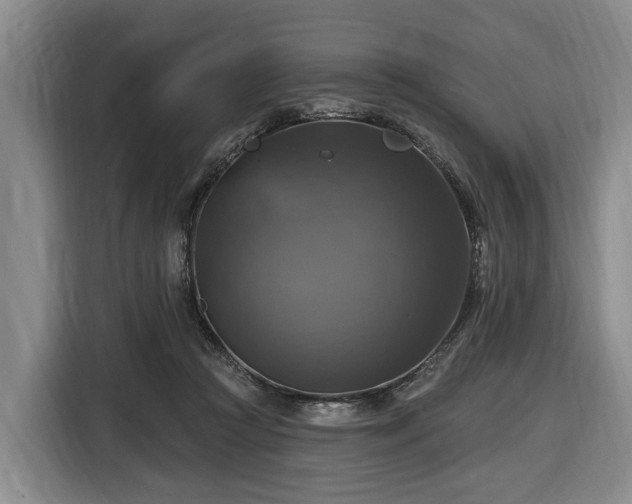 X0000116450361200912151305