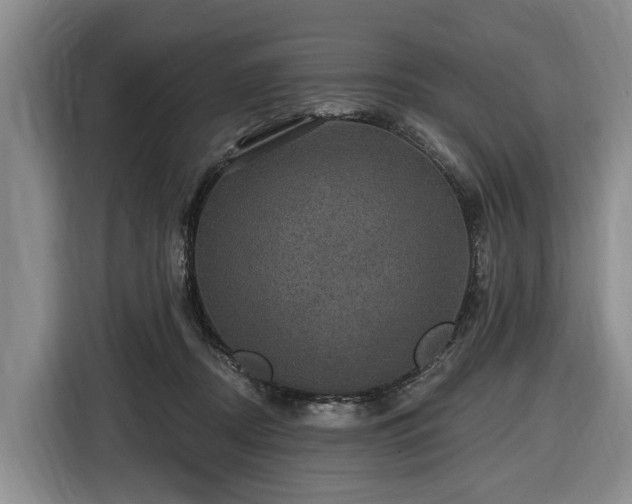 X0000116450362200912151305