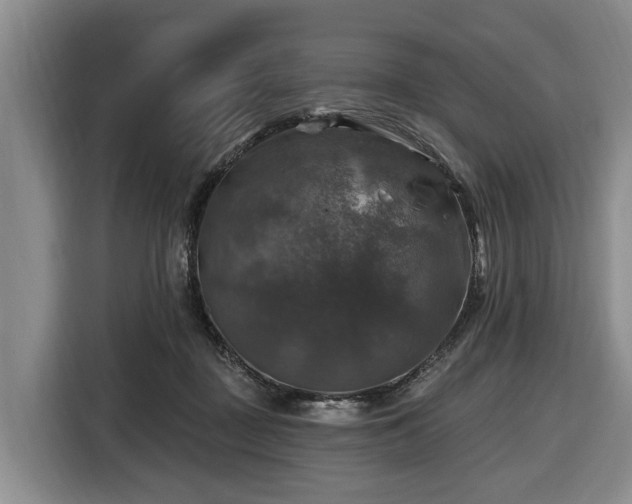 X0000116450363200912151305