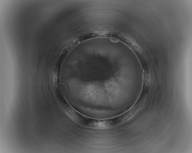X0000116450365200912151305