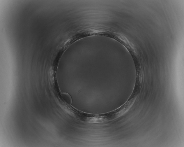 X0000116450366200912151305