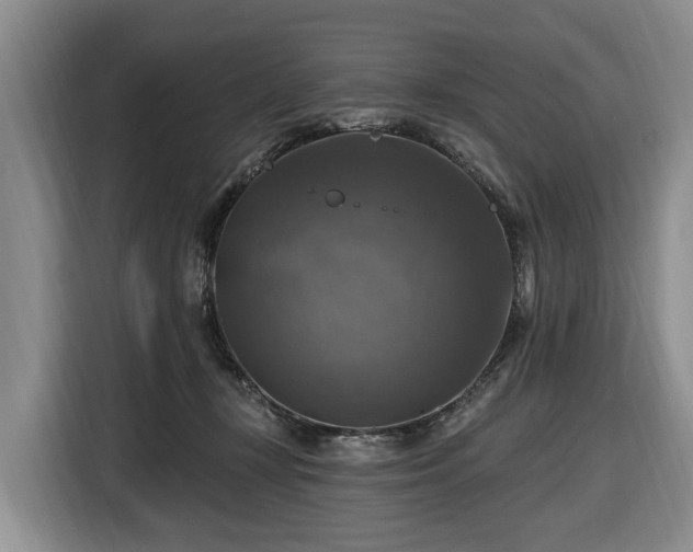 X0000116450367200912151305