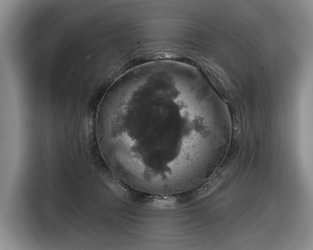 X0000116450369200912151305