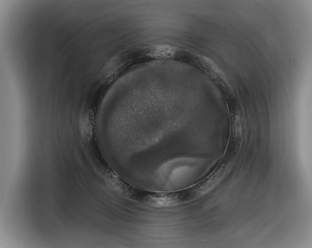 X0000116450370200912151305