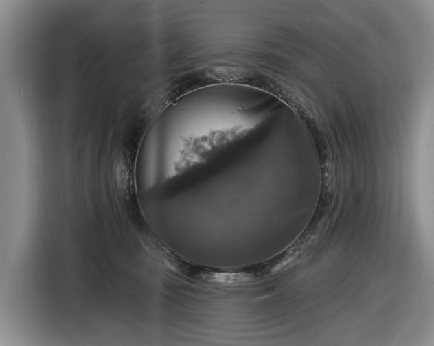X0000116450371200912151305