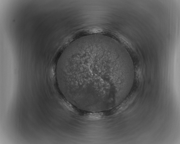 X0000116450373200912151305