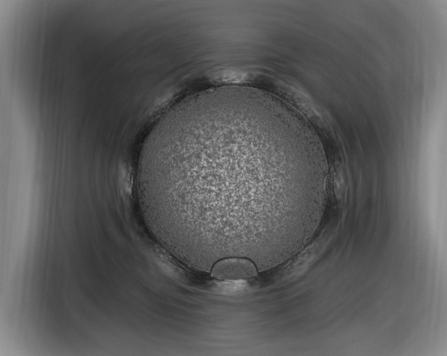 X0000116450374200912151305